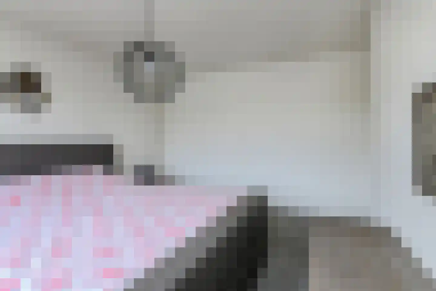 Schansweg 15 Geertruidenberg thumbnail 25