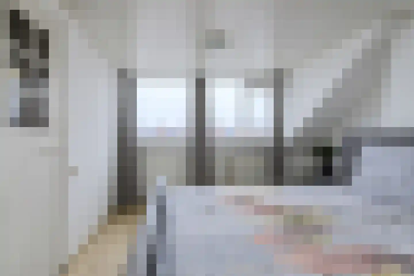 Schansweg 15 Geertruidenberg thumbnail 35