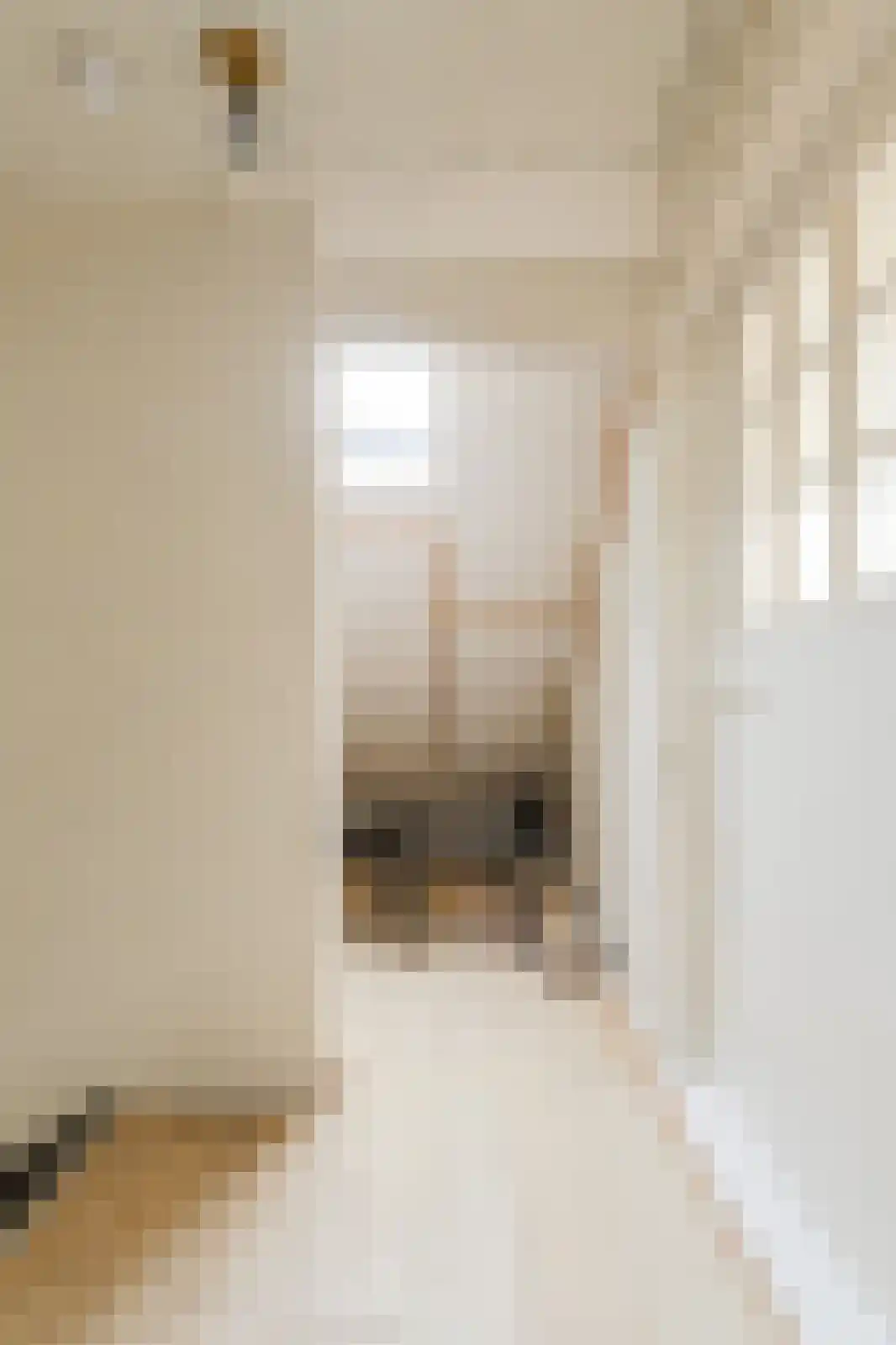 Schansweg 15 Geertruidenberg thumbnail 37