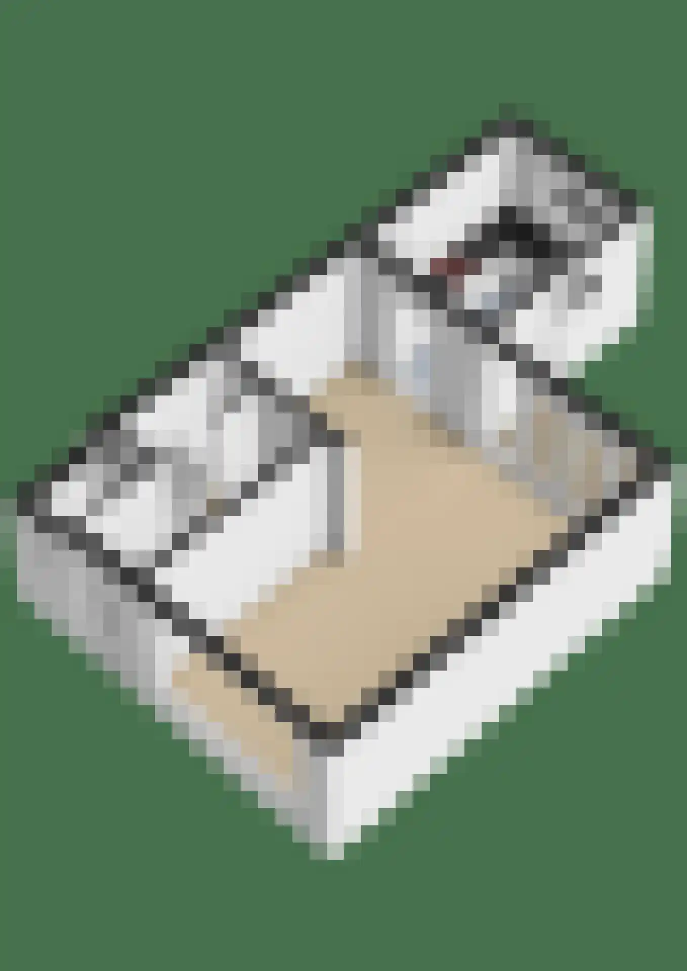 Schansweg 15 Geertruidenberg thumbnail 44