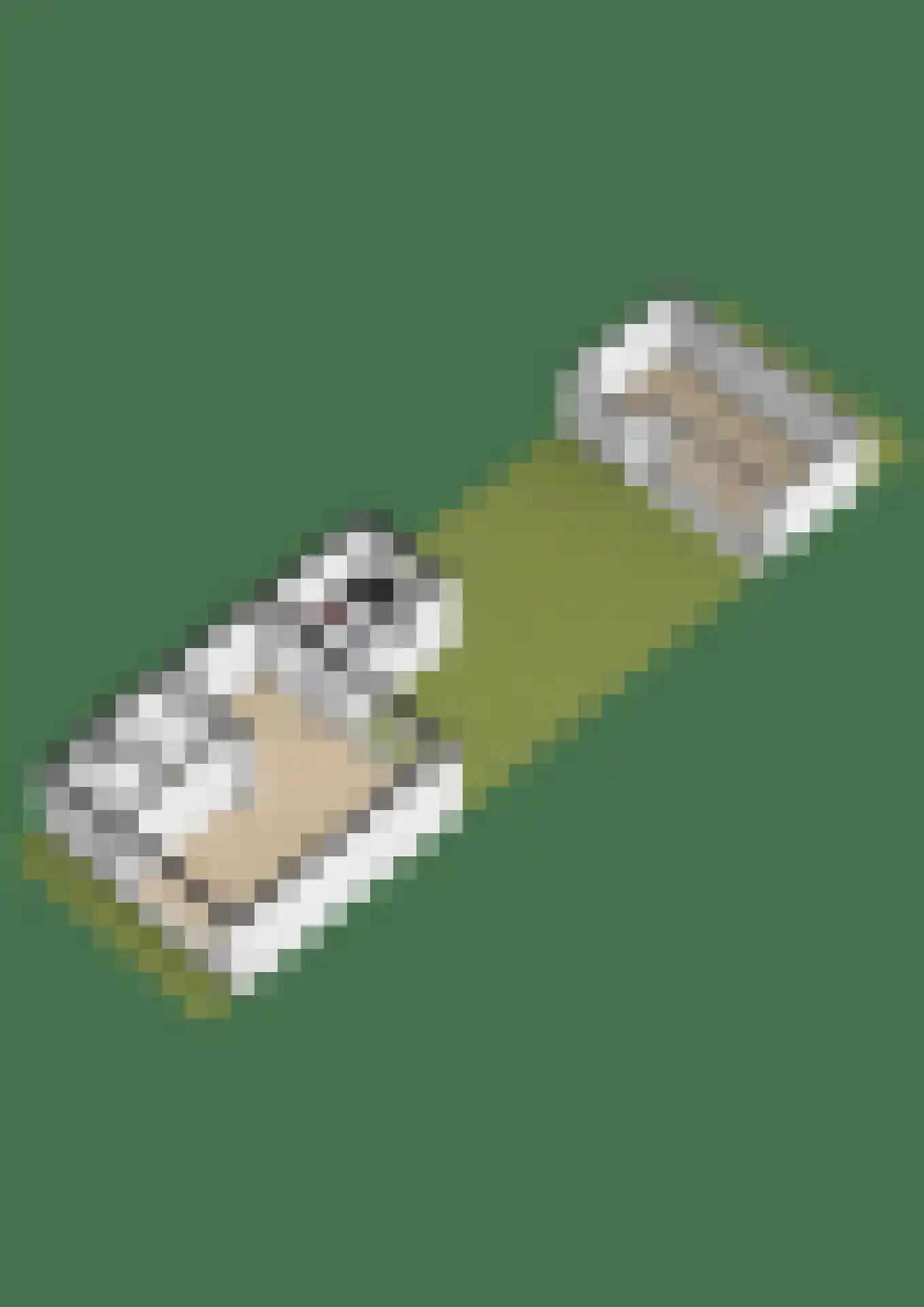 Schansweg 15 Geertruidenberg thumbnail 52