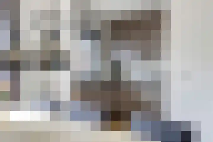 Schansweg 17 Geertruidenberg thumbnail 16