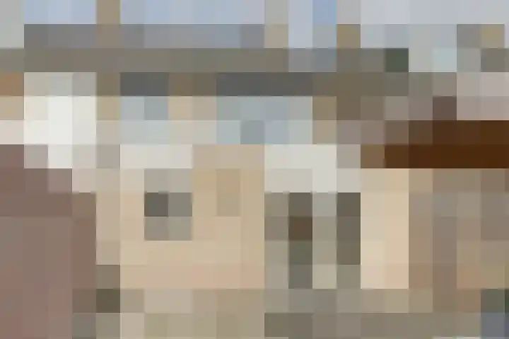 Schansweg 17 Geertruidenberg thumbnail 25