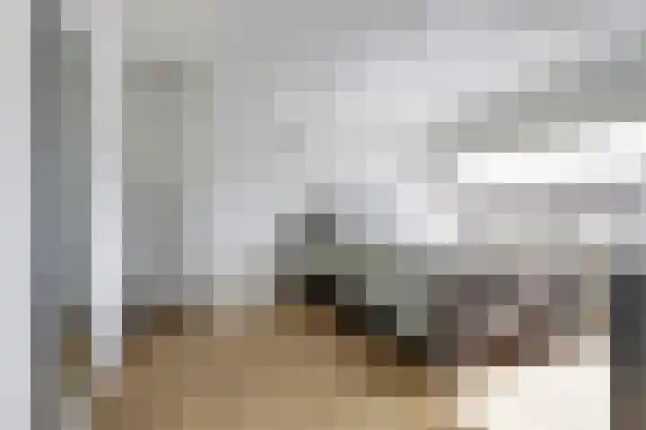 Schansweg 17 Geertruidenberg thumbnail 28