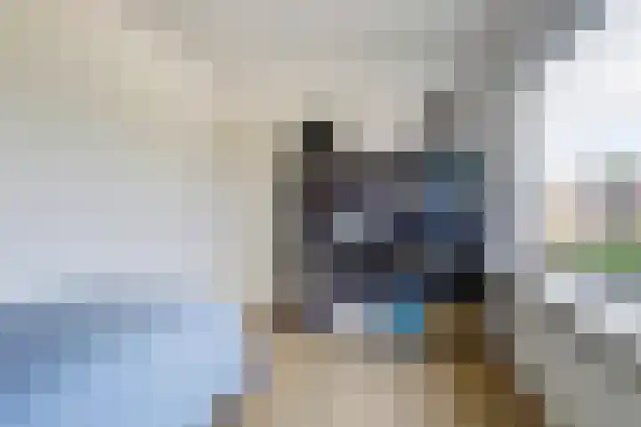 Schansweg 17 Geertruidenberg thumbnail 31
