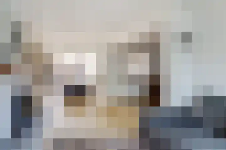 Schansweg 17 Geertruidenberg thumbnail 9