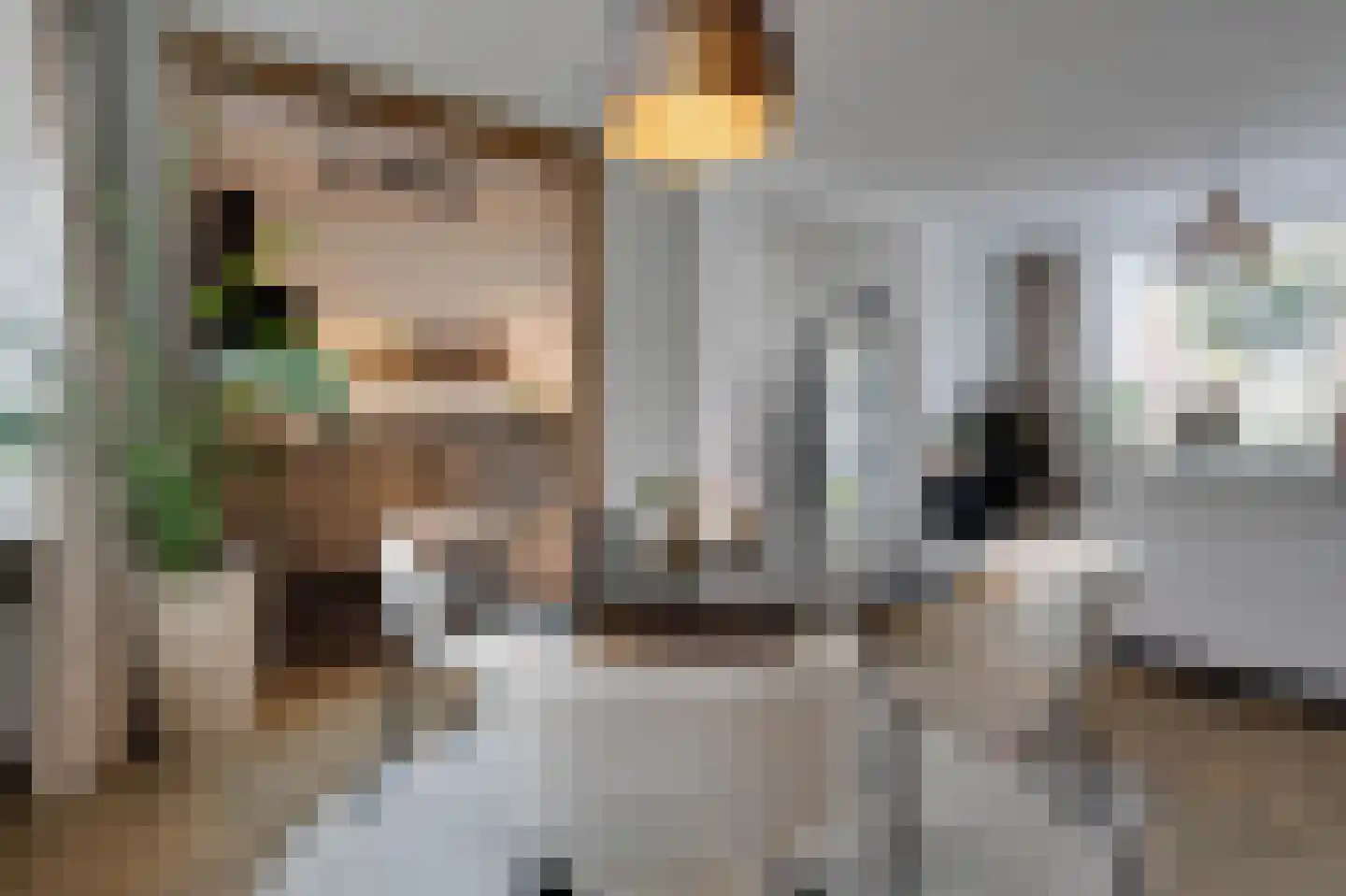 Schansweg 2 Ouddorp thumbnail 13