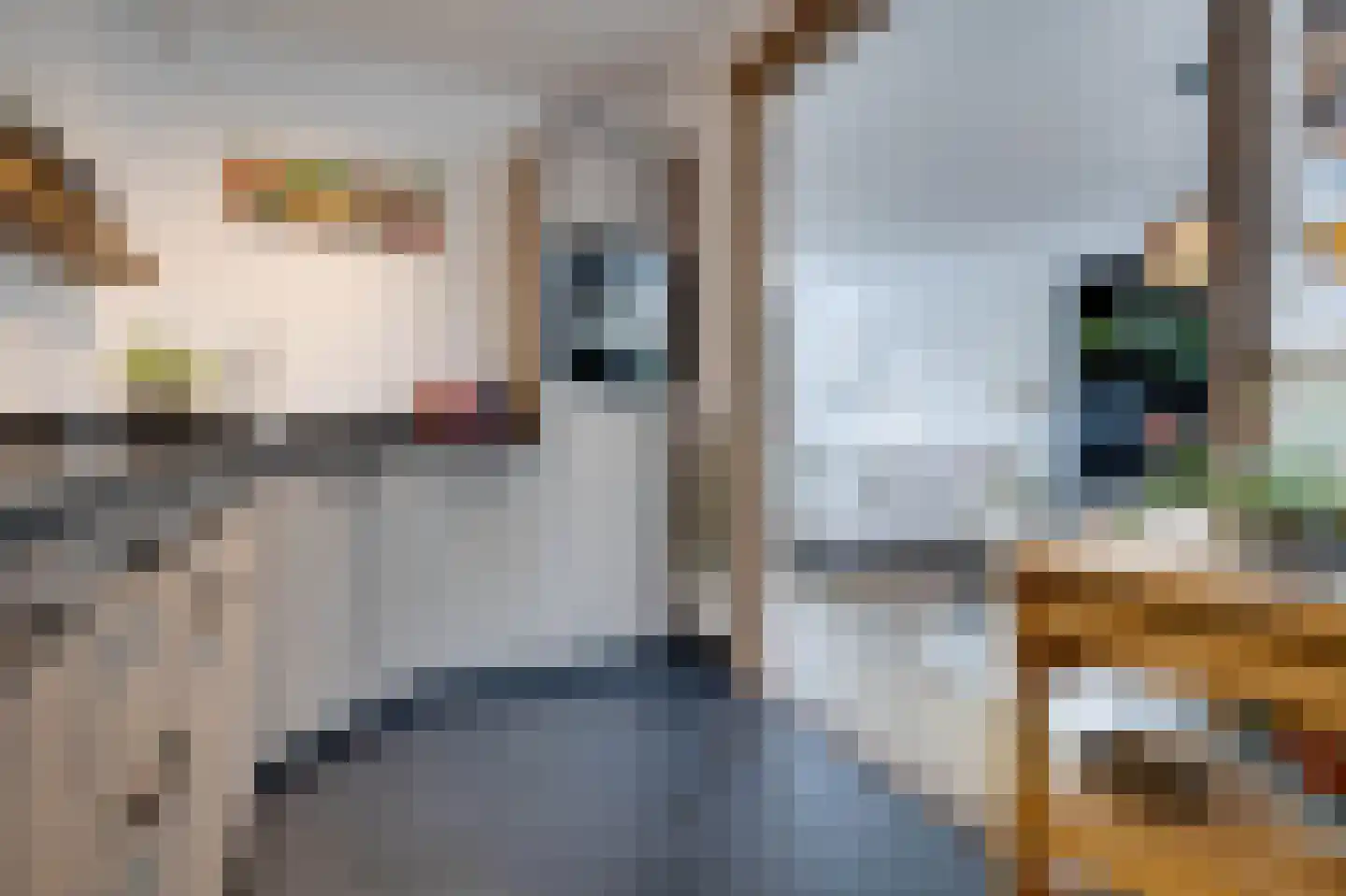 Schansweg 2 Ouddorp thumbnail 14