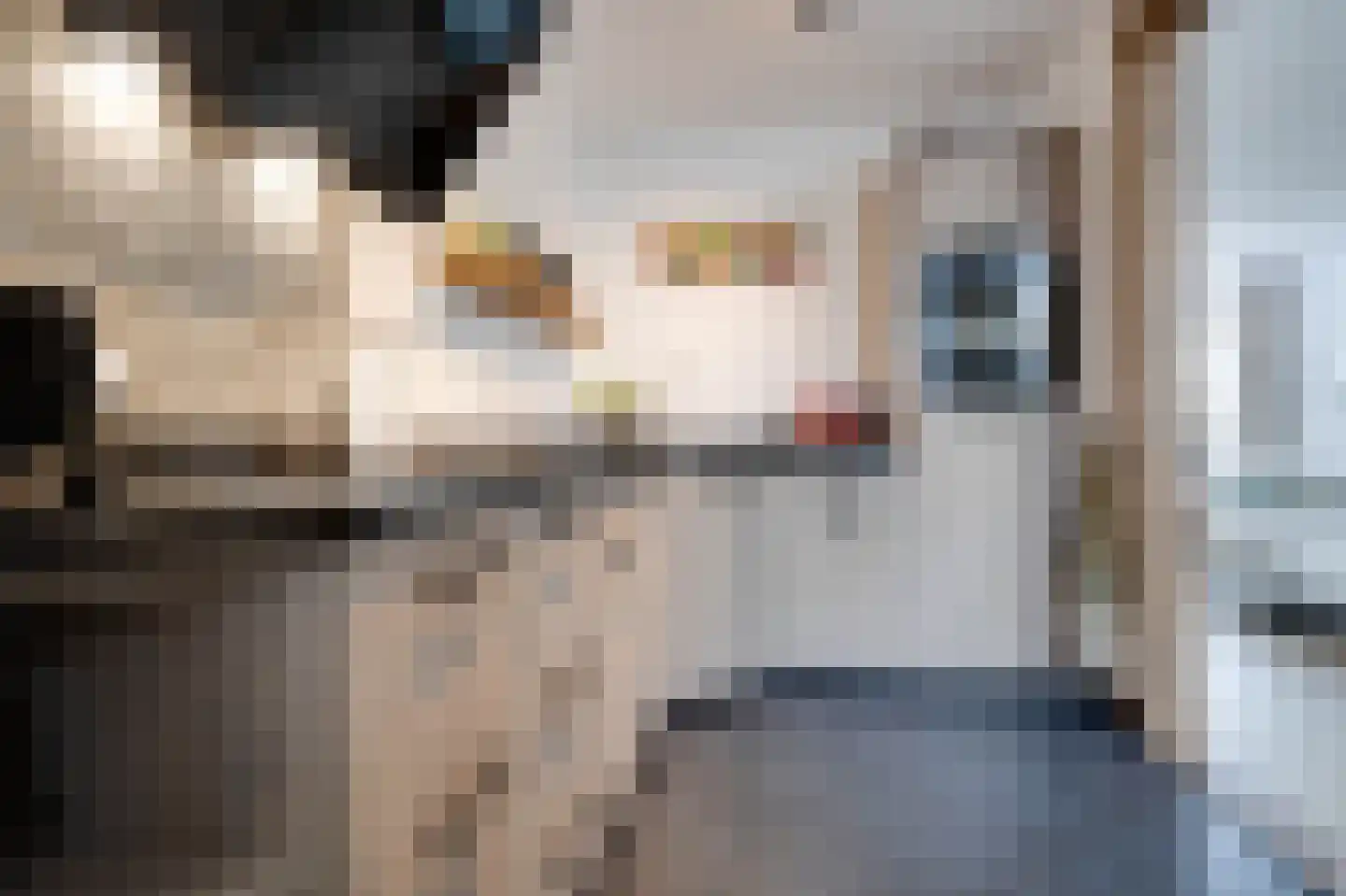 Schansweg 2 Ouddorp thumbnail 15