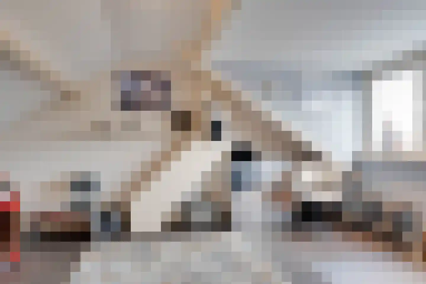 Schansweg 2 Ouddorp thumbnail 28