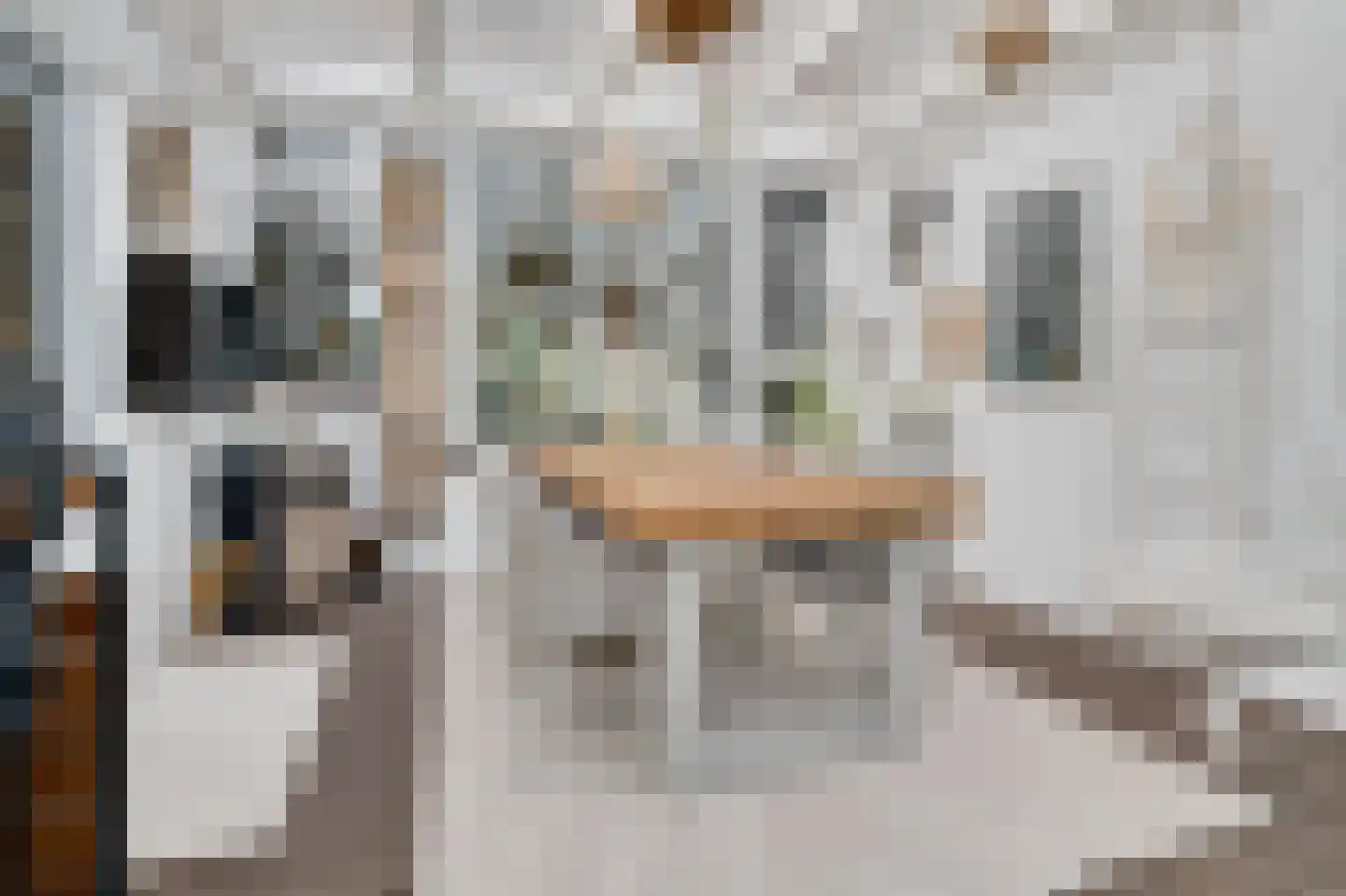 Schansweg 2 Ouddorp thumbnail 30