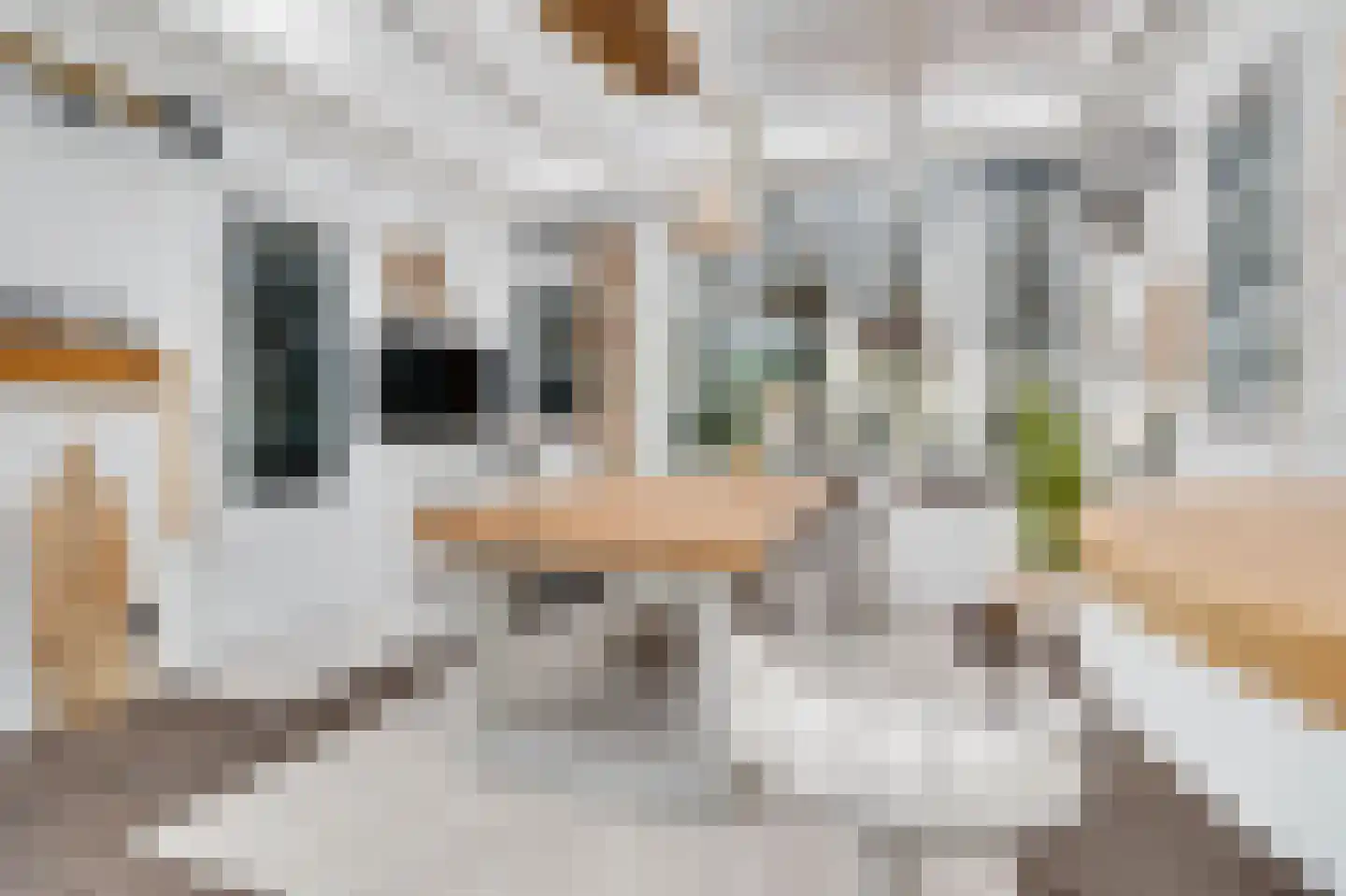 Schansweg 2 Ouddorp thumbnail 31
