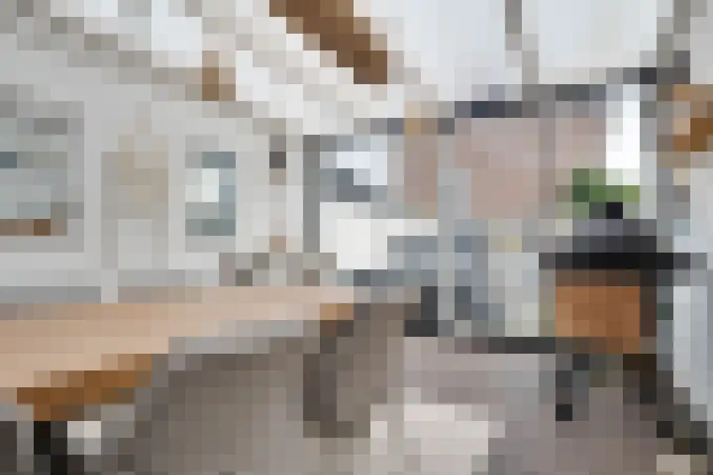 Schansweg 2 Ouddorp thumbnail 32
