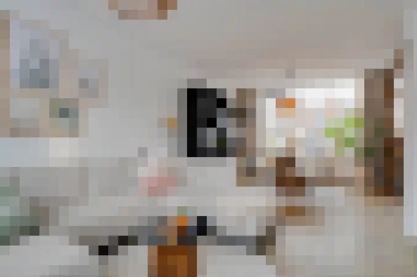 Schansweg 2 Ouddorp thumbnail 5