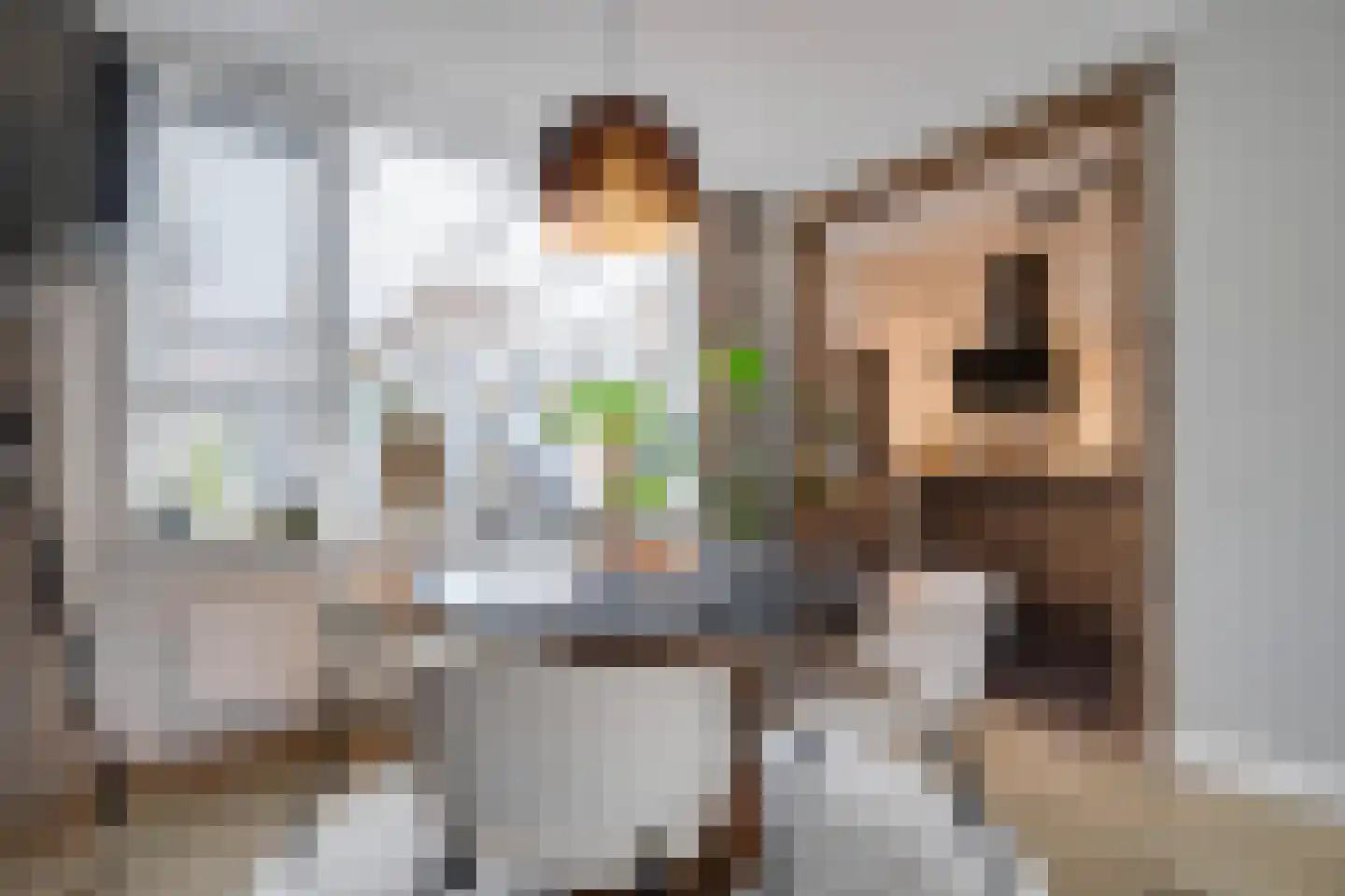 Schansweg 2 Ouddorp thumbnail 6