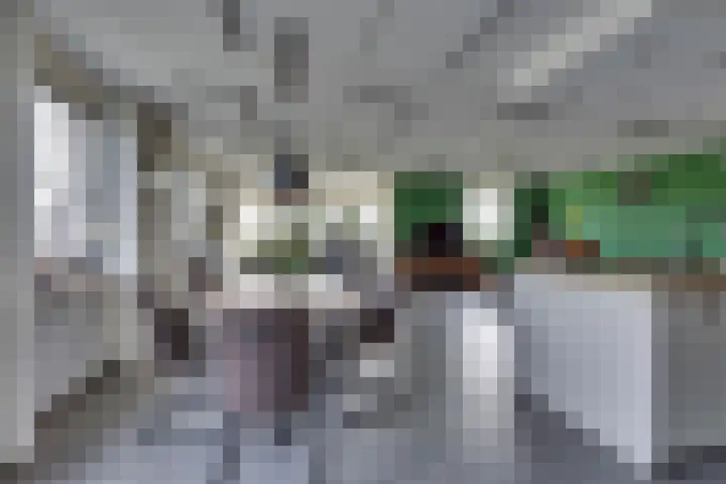 Schansweg 26 Anerveen thumbnail 15