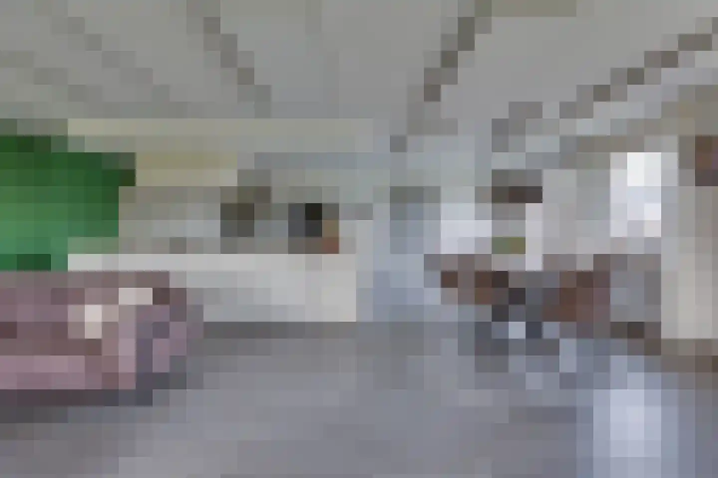 Schansweg 26 Anerveen thumbnail 17
