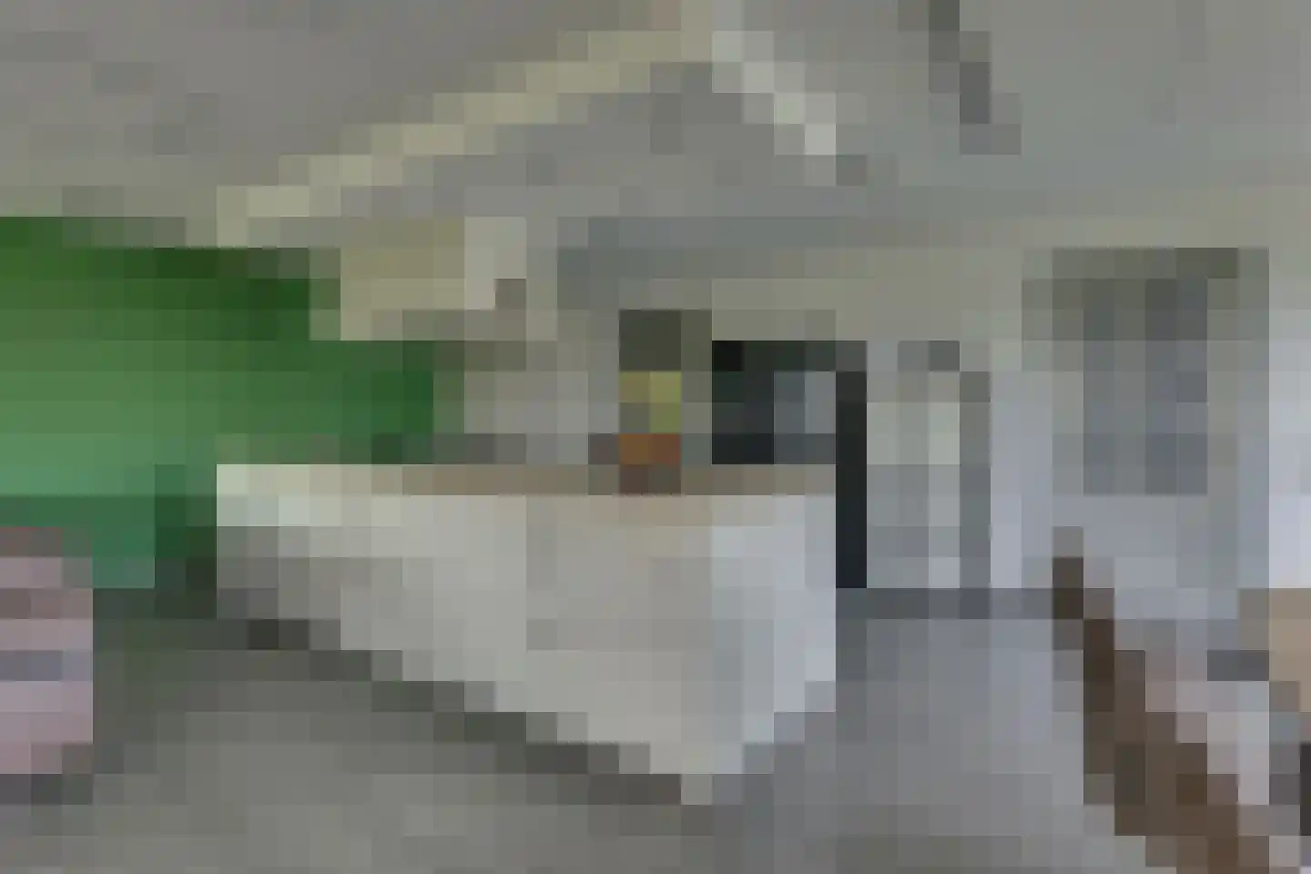 Schansweg 26 Anerveen thumbnail 18