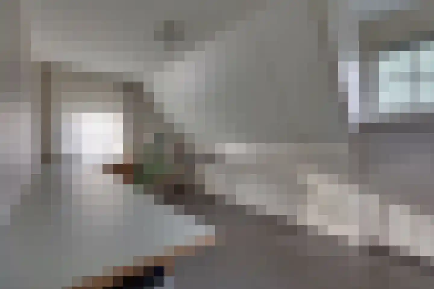 Schansweg 26 Anerveen thumbnail 28