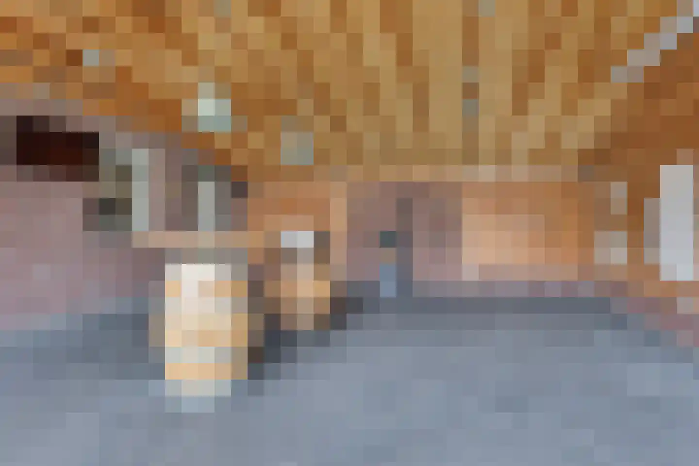 Schansweg 26 Anerveen thumbnail 32