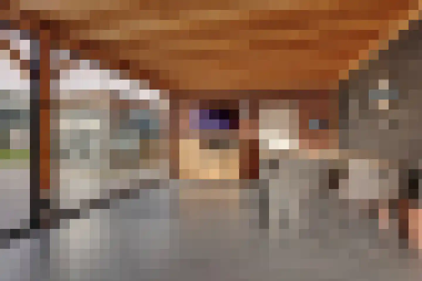 Schansweg 26 Anerveen thumbnail 33