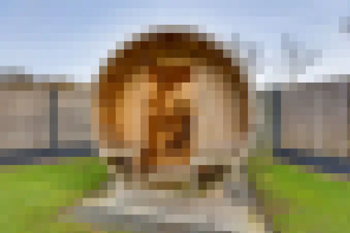 Schansweg 26 Anerveen thumbnail 40