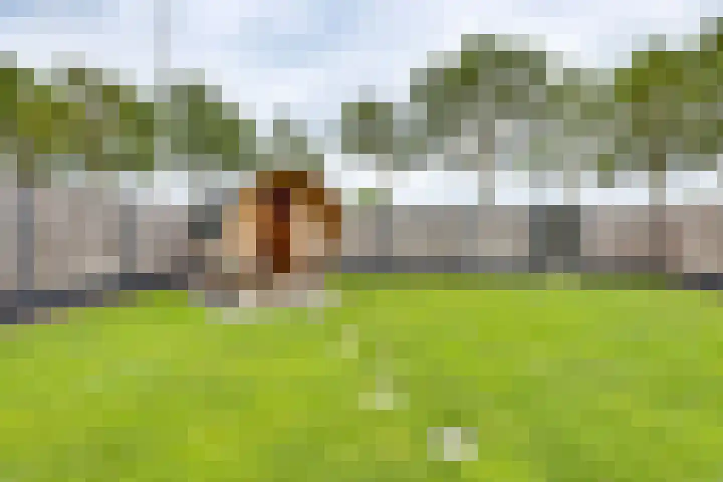 Schansweg 26 Anerveen thumbnail 49
