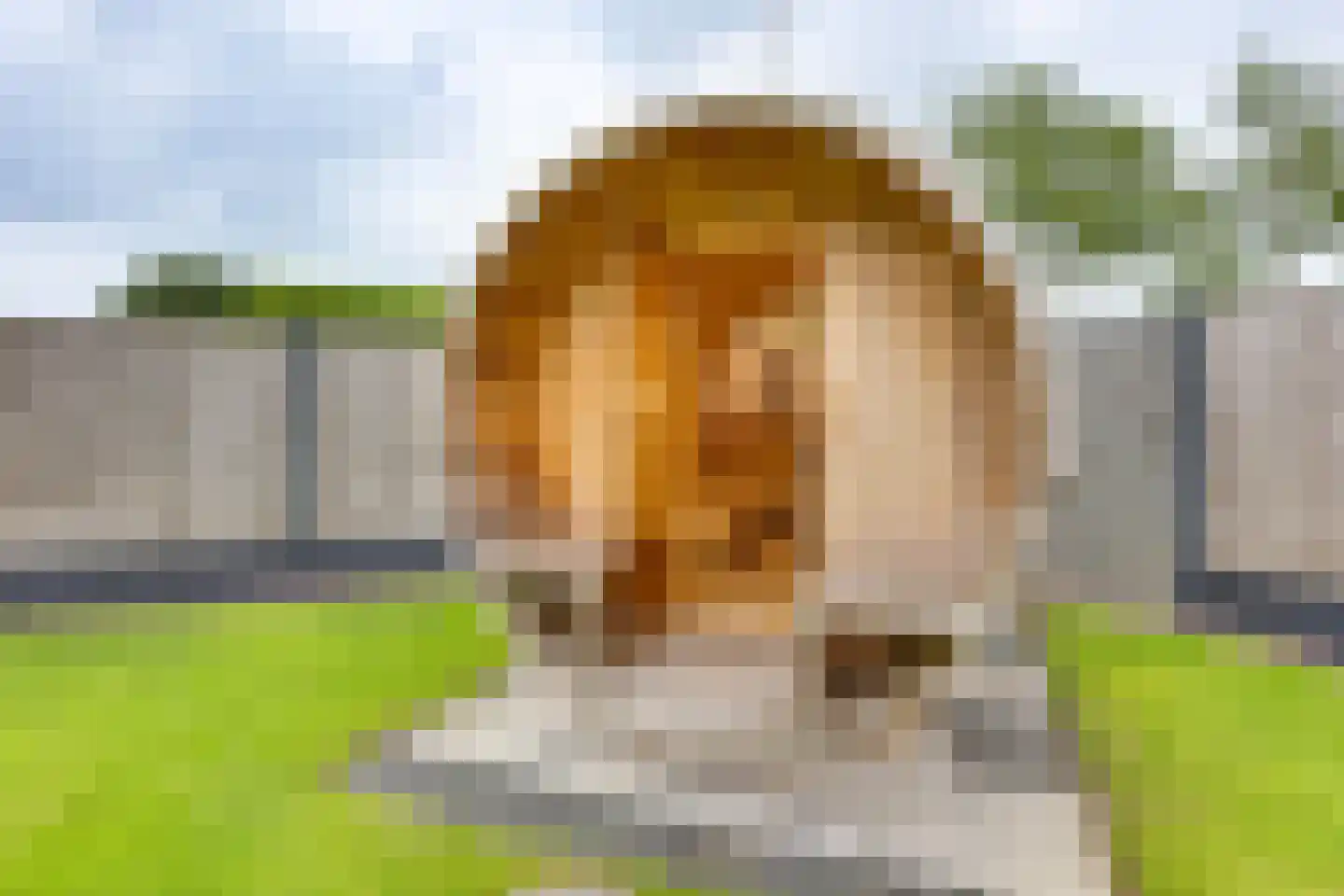 Schansweg 26 Anerveen thumbnail 50