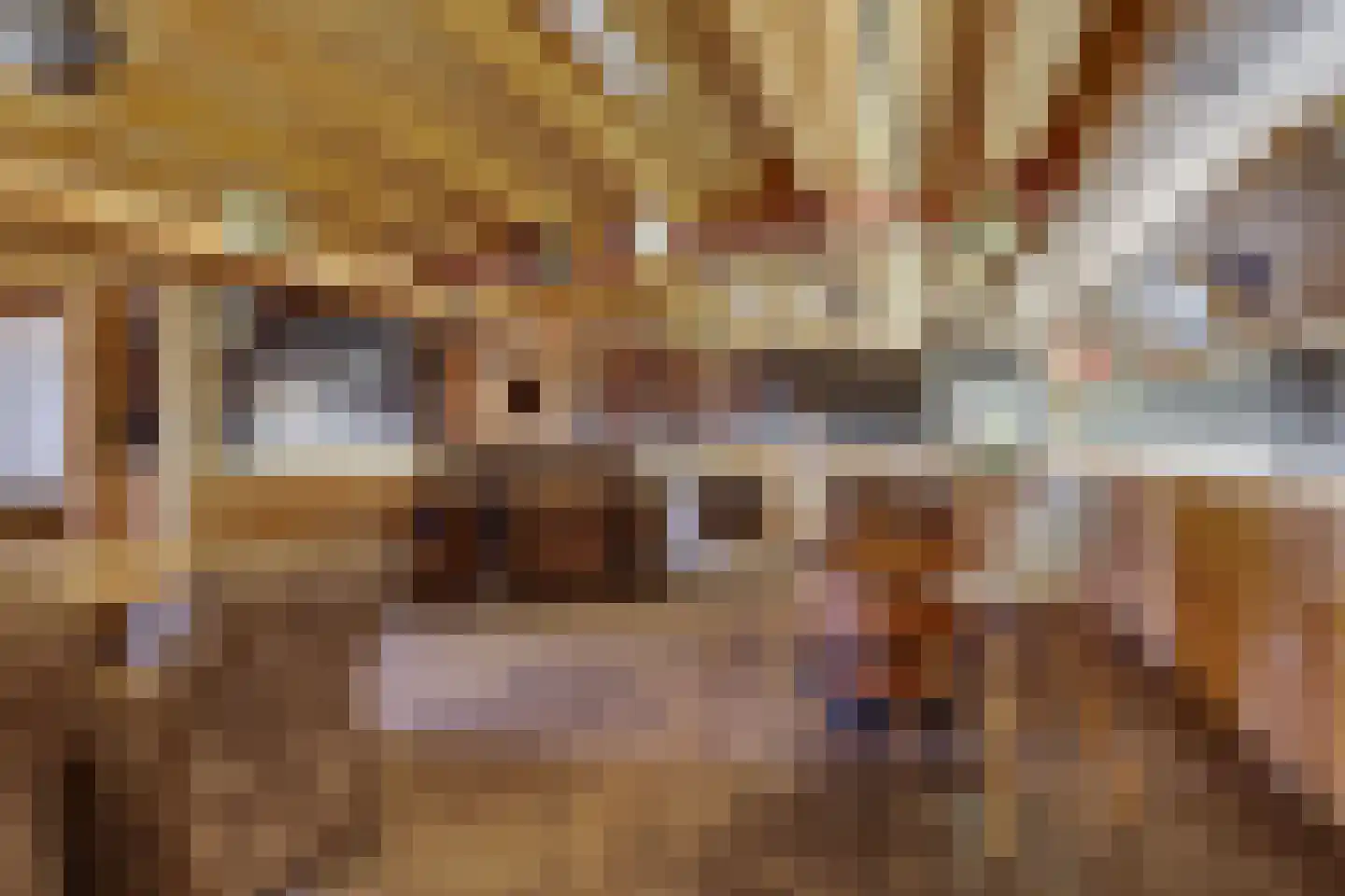 Schansweg 26 Anerveen thumbnail 52