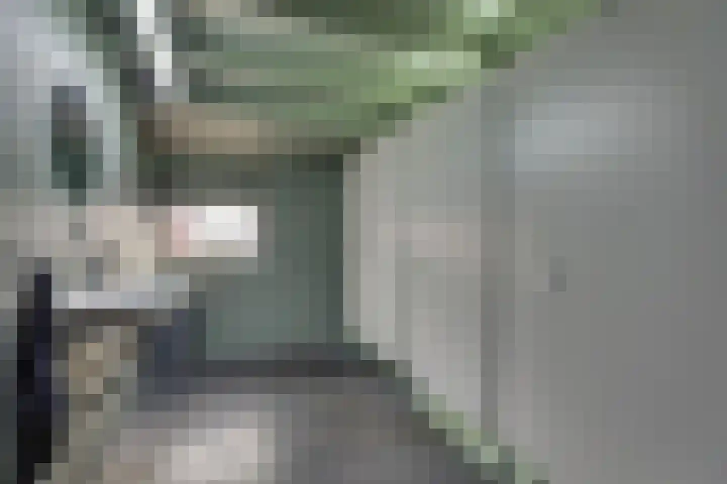 Schansweg 26 Anerveen thumbnail 53