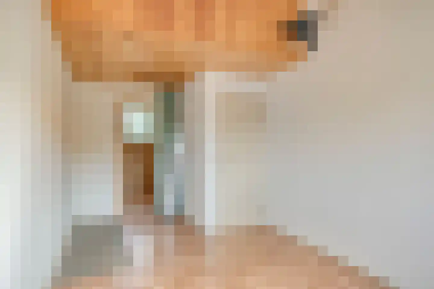 Schansweg 37 Mook thumbnail 11