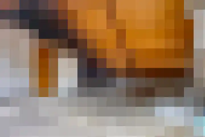 Schansweg 4 Uden thumbnail 31