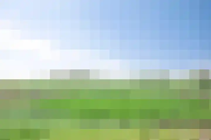 Schansweg 4 Uden thumbnail 41