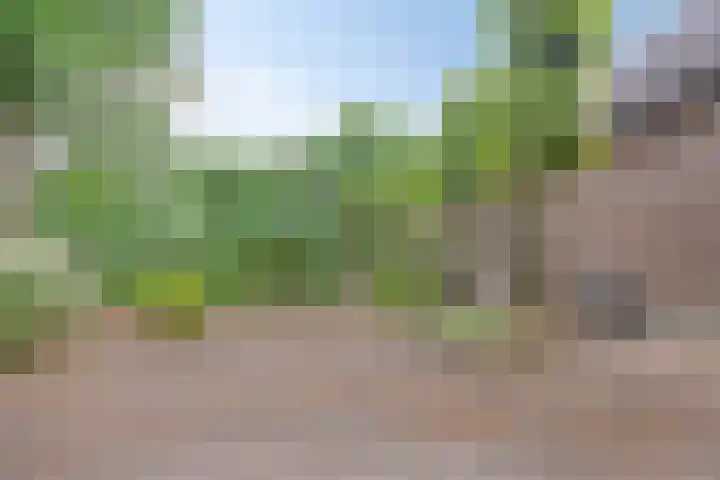 Schansweg 4 Uden thumbnail 42