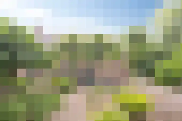 Schansweg 4 Uden thumbnail 43