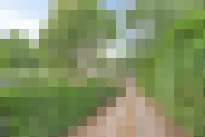 Schansweg 4 Uden thumbnail 45