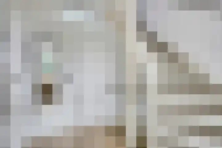 Schansweg 42 Berg en Terblijt thumbnail 18