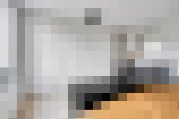 Schansweg 42 Berg en Terblijt thumbnail 21