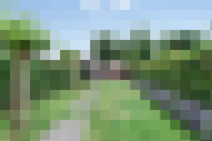 Schansweg 42 Berg en Terblijt thumbnail 29