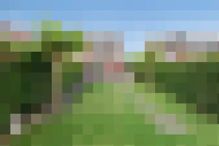 Schansweg 42 Berg en Terblijt thumbnail 35