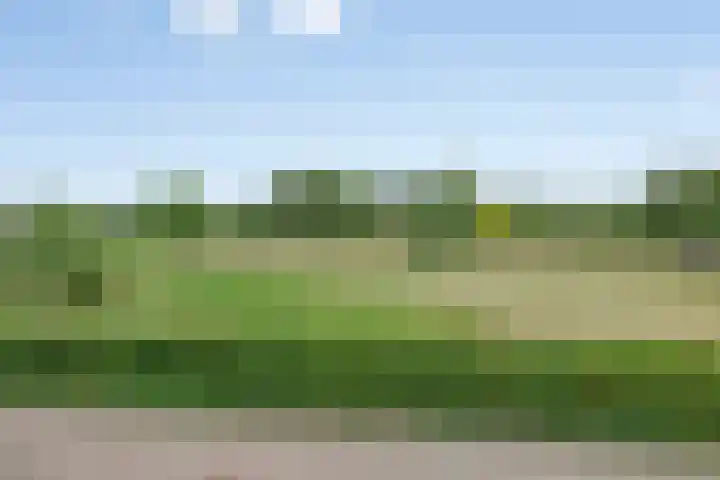 Schansweg 42 Berg en Terblijt thumbnail 37
