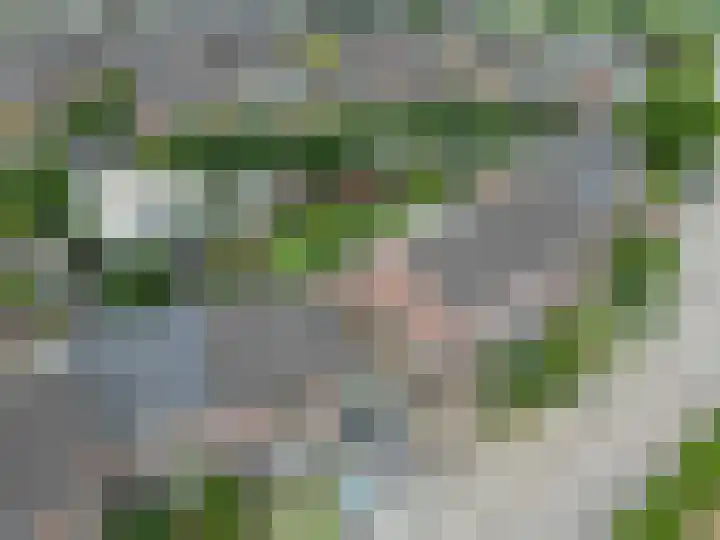 Schansweg 42 Berg en Terblijt thumbnail 43