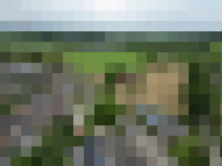 Schansweg 42 Berg en Terblijt thumbnail 45