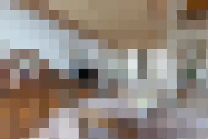 Schansweg 49 Klundert thumbnail 11