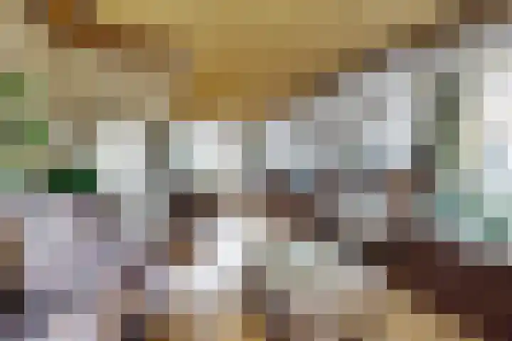 Schansweg 49 Klundert thumbnail 15