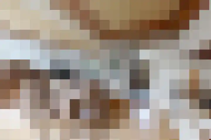 Schansweg 49 Klundert thumbnail 20