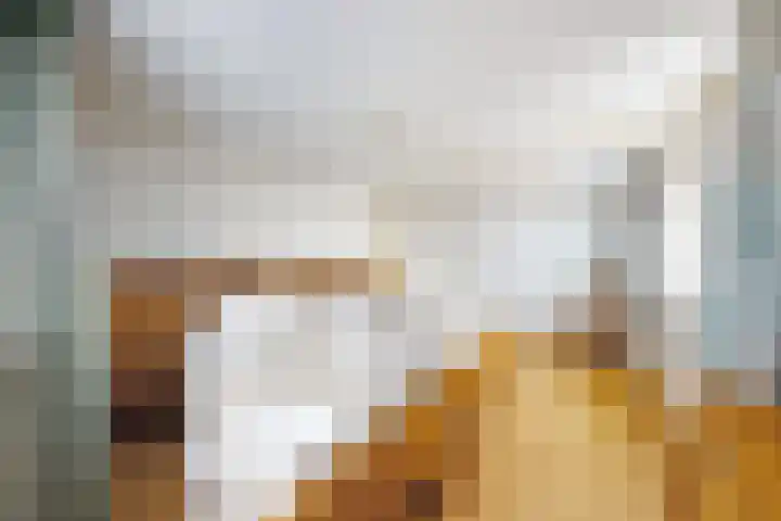 Schansweg 49 Klundert thumbnail 33