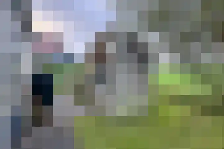 Schansweg 49 Klundert thumbnail 45