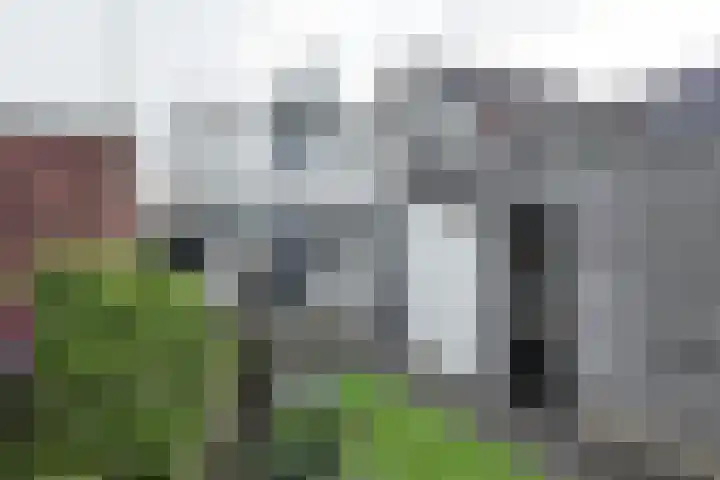 Schansweg 49 Klundert thumbnail 6