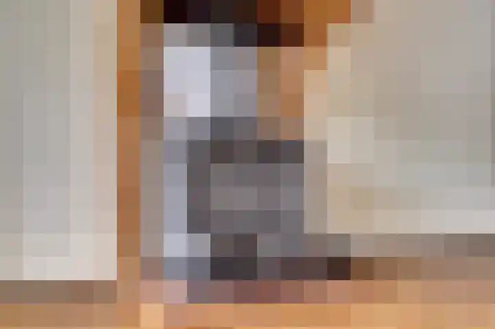 Schansweg 53 Geertruidenberg thumbnail 10
